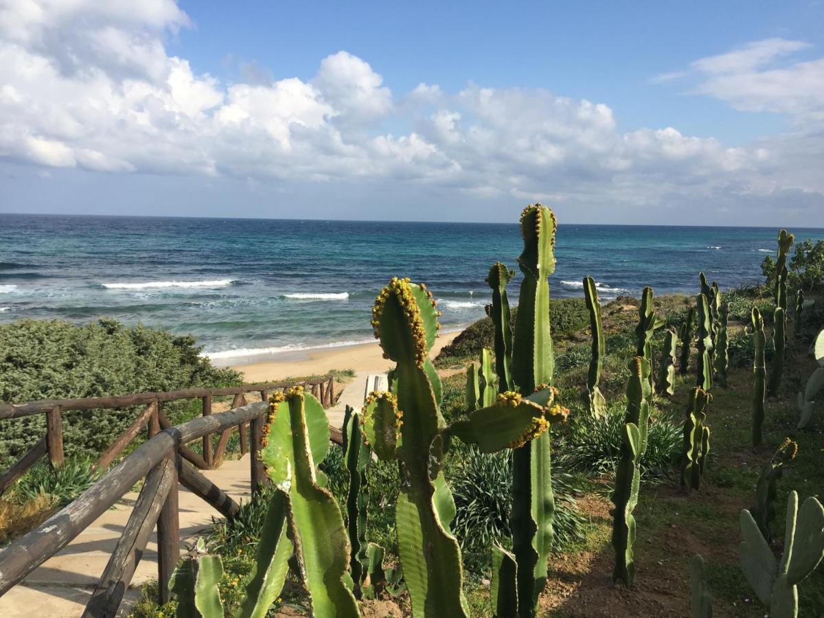 Sardinia Re - Casa Stella Del Mar Apartment กัสเตลซาร์โด ภายนอก รูปภาพ
